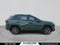 2024 Toyota RAV4 Hybrid Woodland Edition
